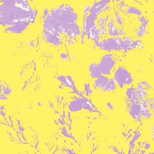 Fondo 1