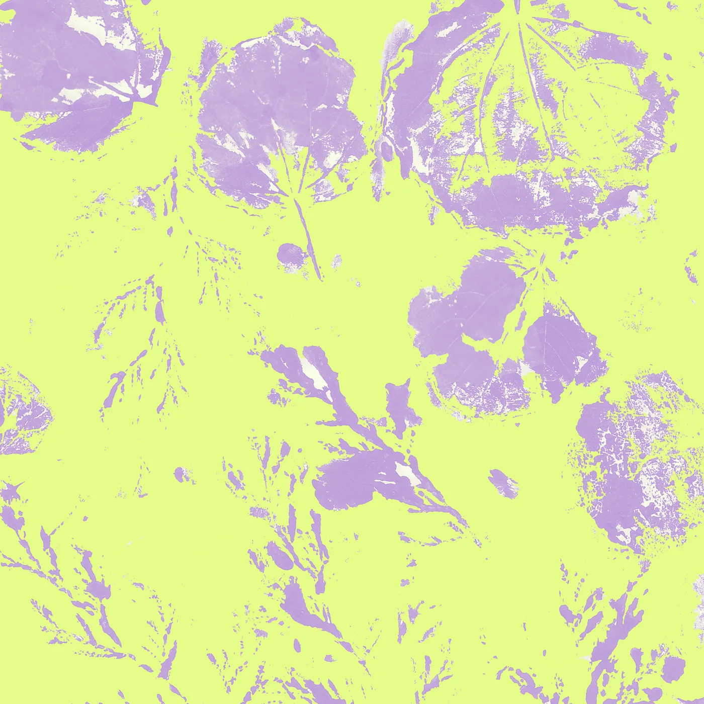 Fondo 2