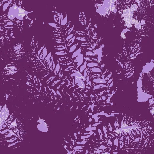 Fondo 8