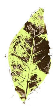 Hoja 3